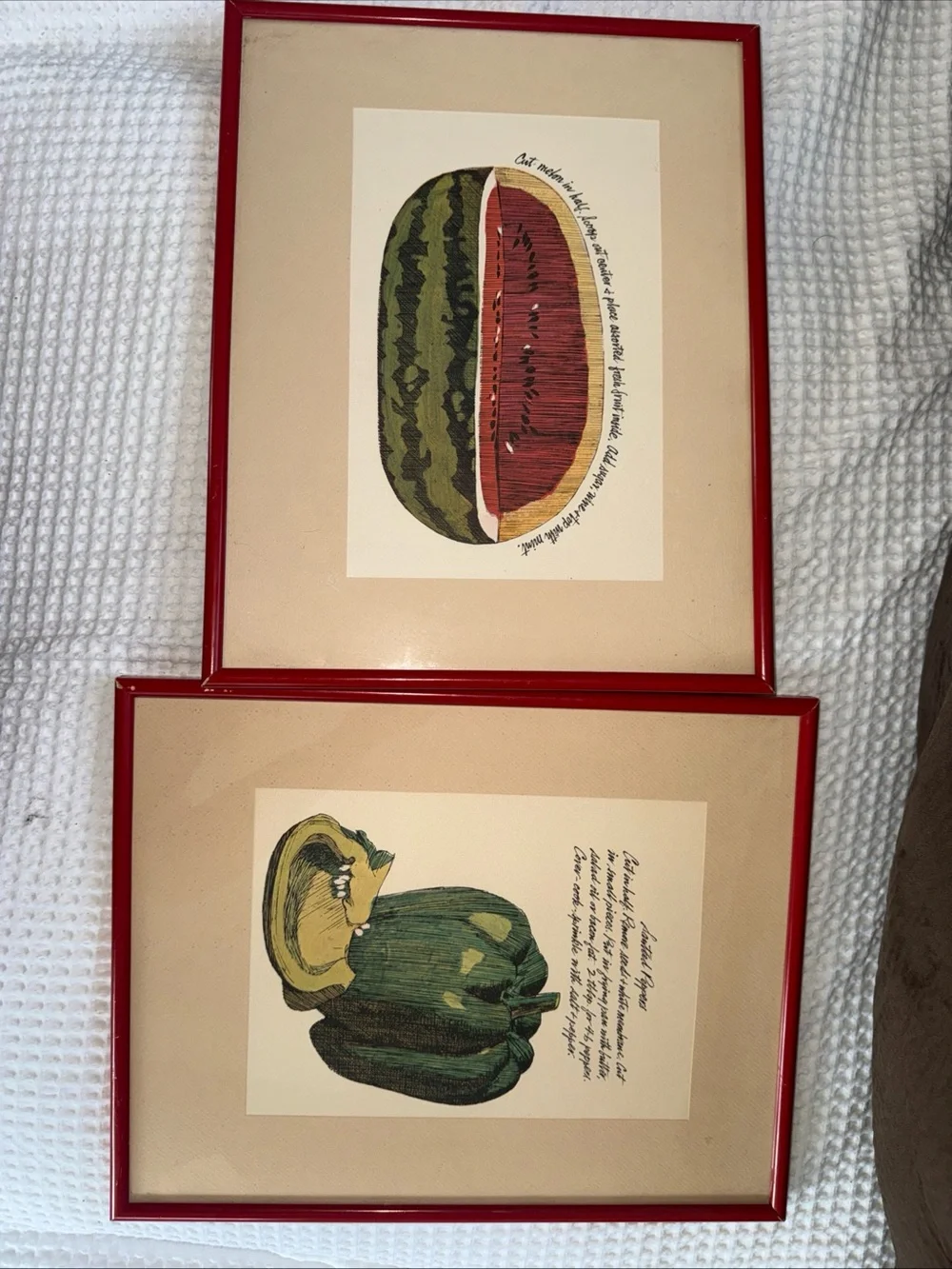 Red Framed Watermelon & Pepper Art 60’s/70’s Art Prints - Kitchen Wall Decor